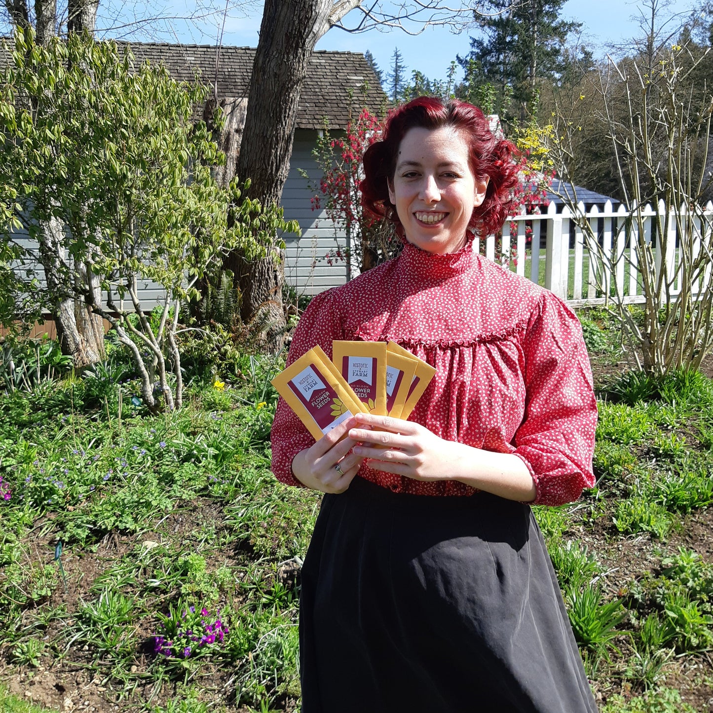 Bean, Refugee Bush Bean (Phaseolus vulgaris)